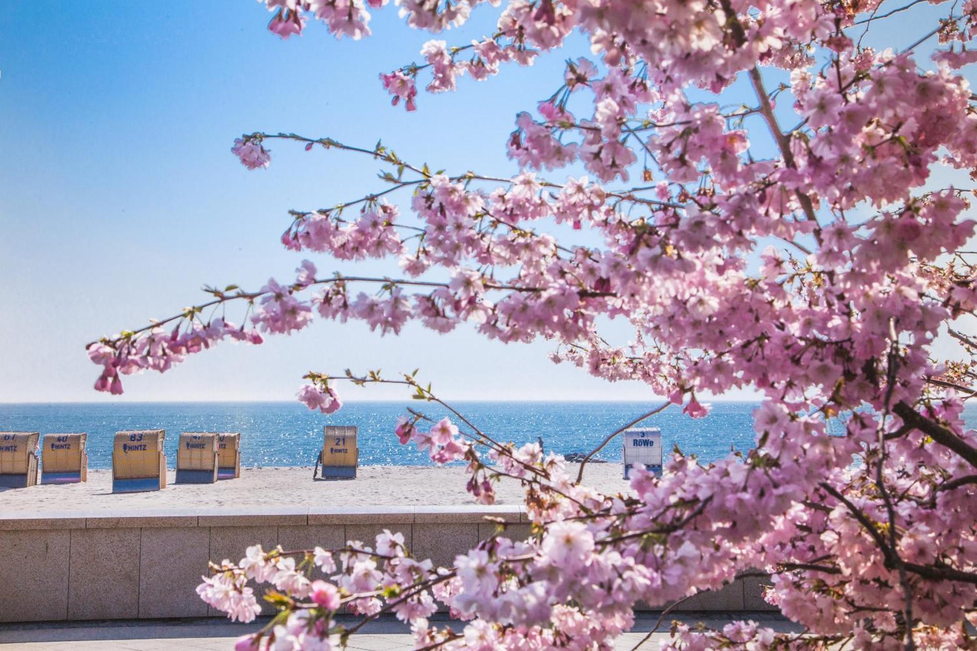 Pink Und Meer - Meerblick, Sauna, Kamin & Whirlpool บาเบอ ภายนอก รูปภาพ